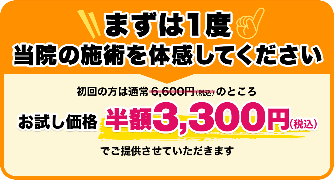 お試し価格 半額3,300円（税込