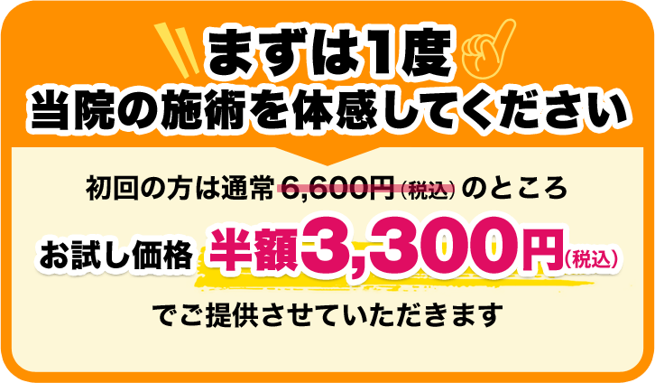 お試し価格 半額3,300円（税込