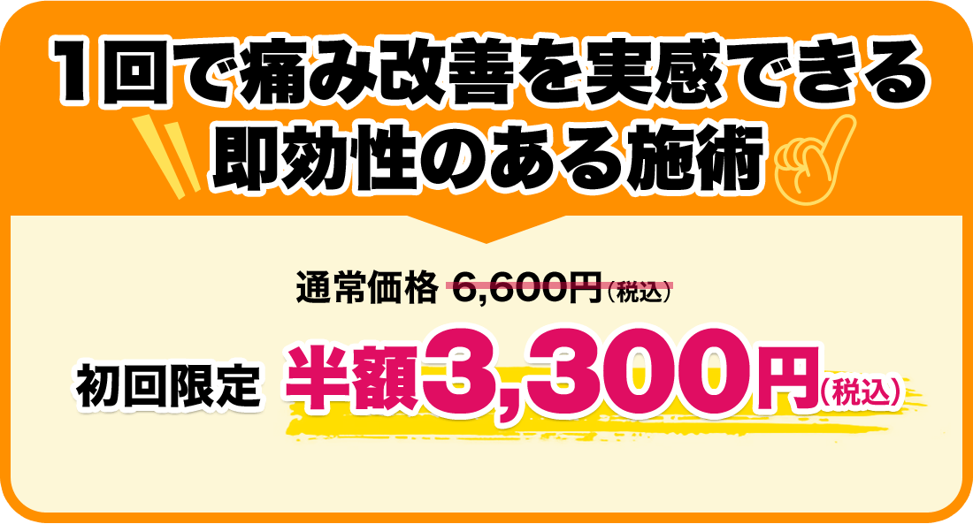 お試し価格 半額3,300円（税込