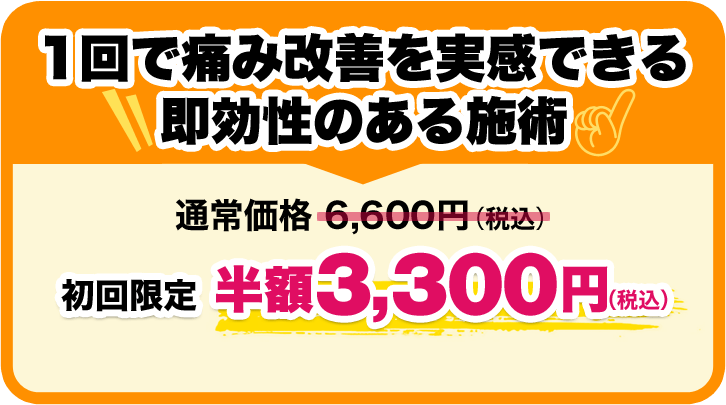 お試し価格 半額3,300円（税込